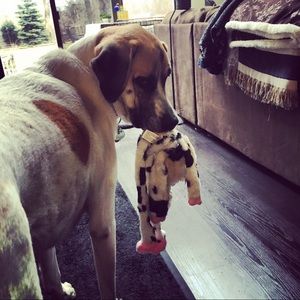 Meet your Posher, Meg